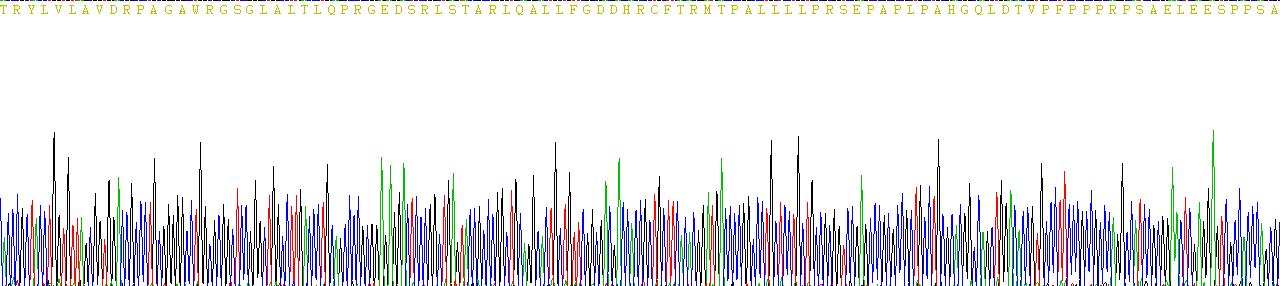 抗缪勒管激素(AMH)重组蛋白