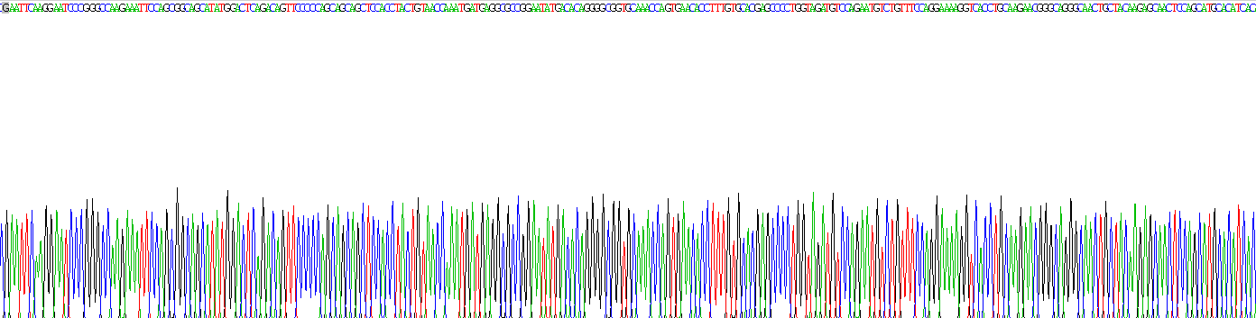 核糖核酸酶A(RNase A)重組蛋白