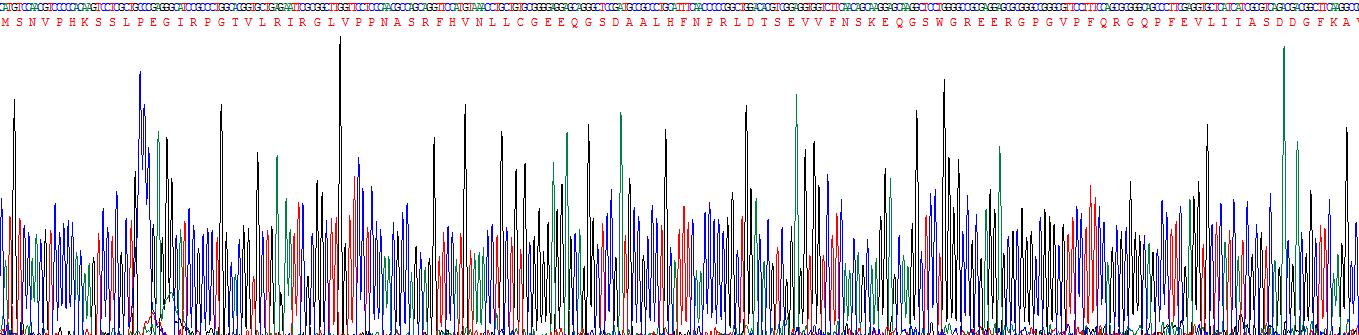 半乳糖凝集素7(GAL7)重组蛋白