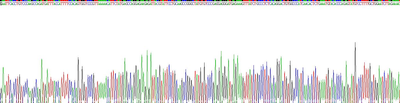 载脂蛋白H(APOH)重组蛋白