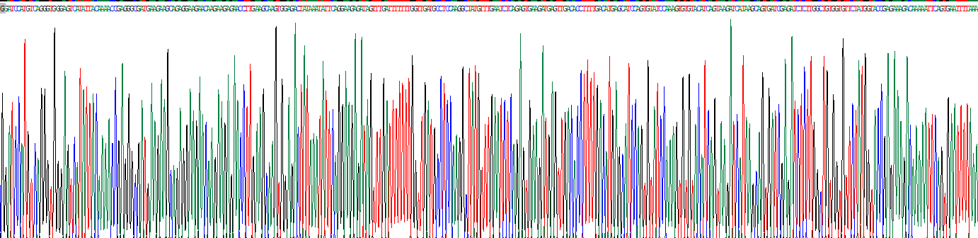 X-射线修复交叉互补蛋白6(XRCC6)重组蛋白
