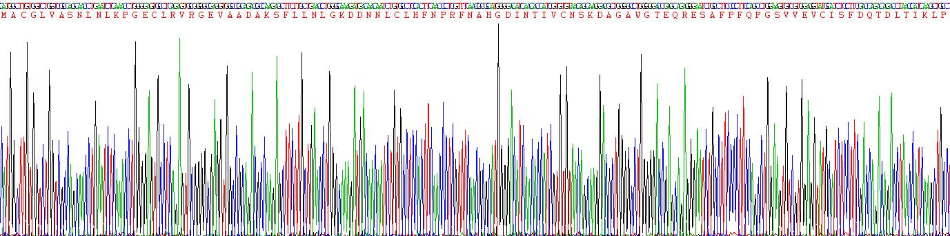 半乳糖凝集素1(GAL1)重組蛋白