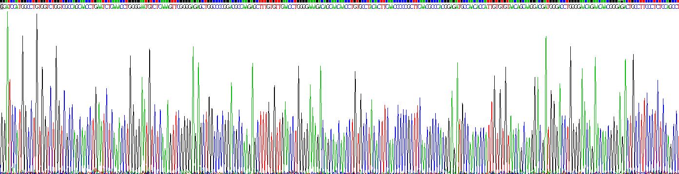 半乳糖凝集素1(GAL1)重组蛋白