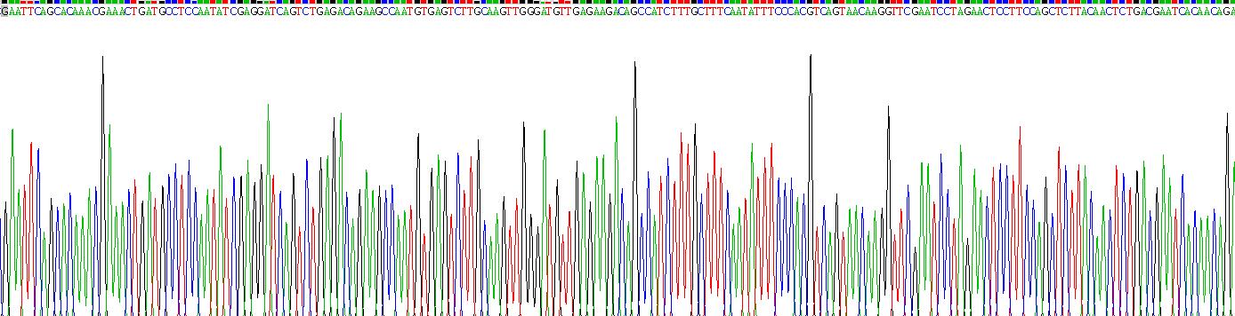 白脂素(Asp)重组蛋白