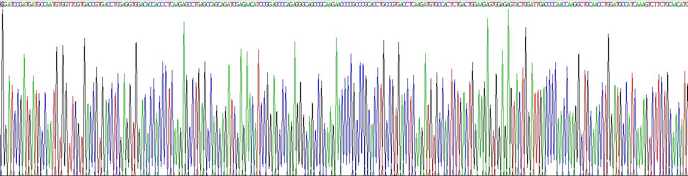 Ⅰ型胶原α1(COL1a1)重组蛋白