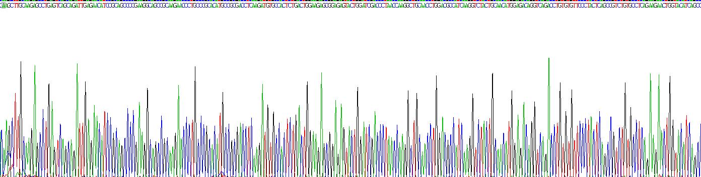 Ⅰ型胶原α1(COL1a1)重组蛋白