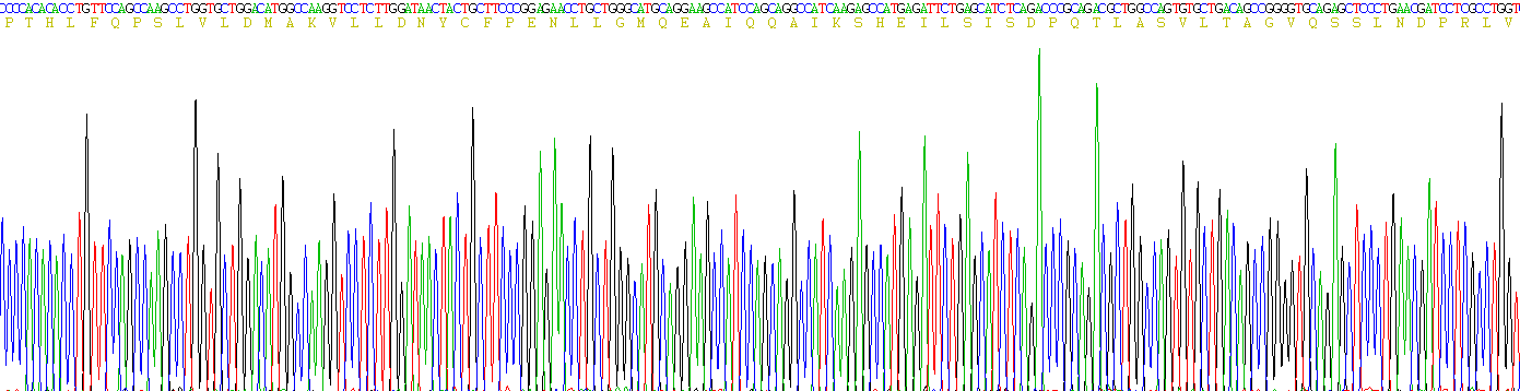视黄醇结合蛋白3(RBP3)重组蛋白