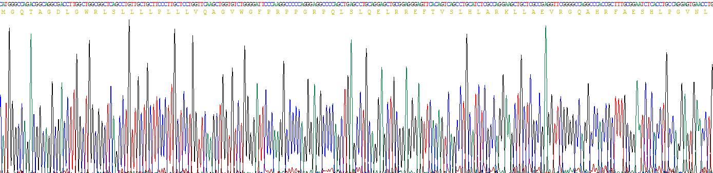 白介素27A(IL27A)重组蛋白