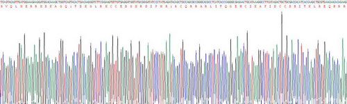 补体成分3a(C3a)重组蛋白
