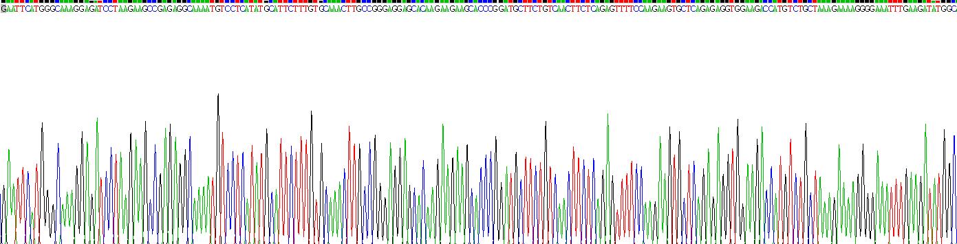 高迁移率族蛋白1(HMGB1)重组蛋白