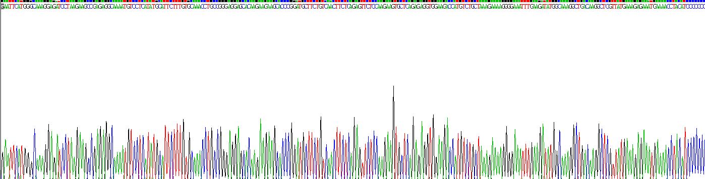 高遷移率族蛋白1(HMGB1)重組蛋白