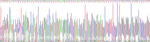 粘蛋白1(MUC1)重组蛋白