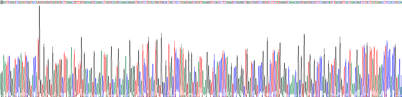 胰島素(INS)重組蛋白