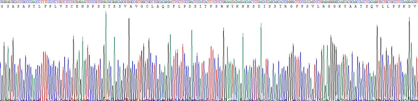 免疫球蛋白M(IgM)重组蛋白