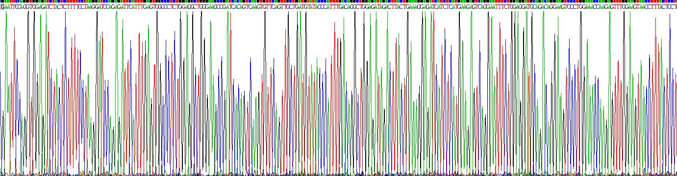 血管细胞粘附分子1(VCAM1)重组蛋白