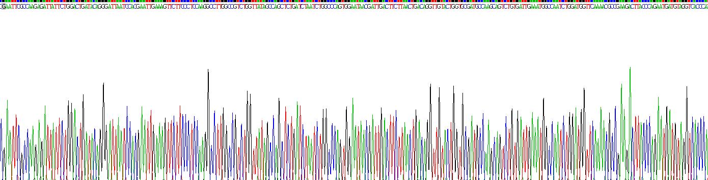 表皮生长因子(EGF)重组蛋白