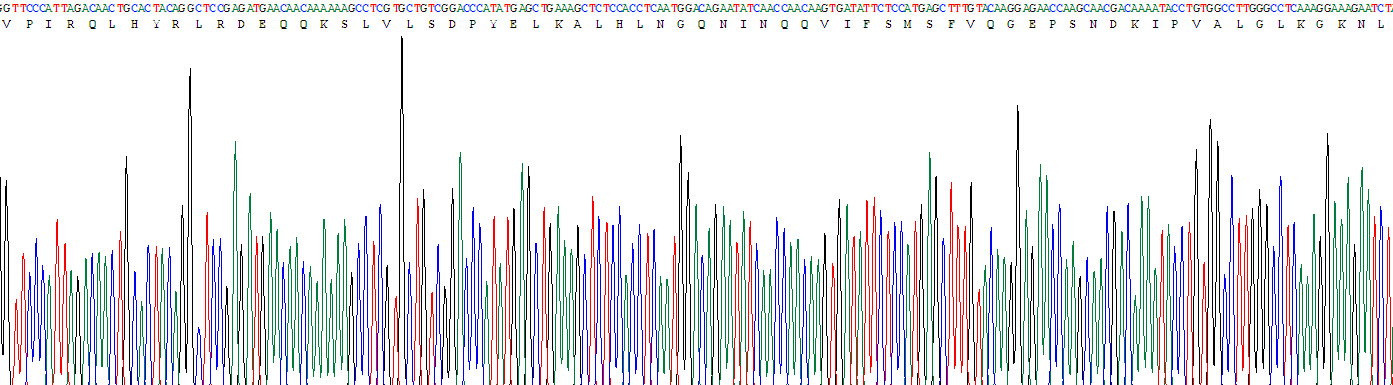 白介素1β(IL1b)重组蛋白