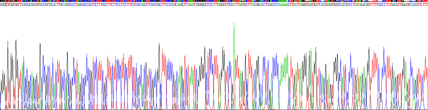 白介素1β(IL1b)重组蛋白