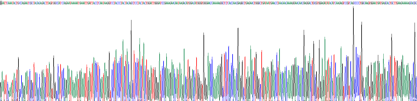 P选择素(SELP)重组蛋白
