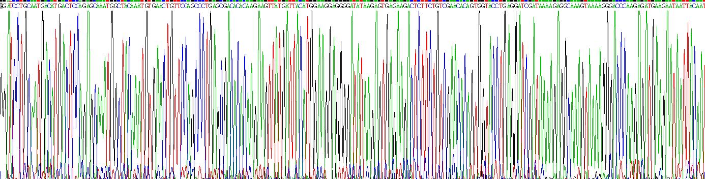 成纤维细胞生长因子7(FGF7)重组蛋白