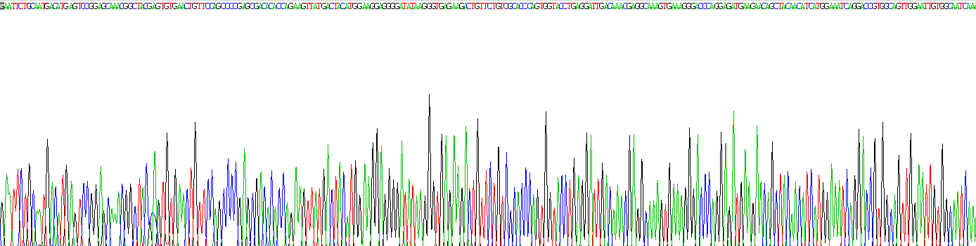 成纤维细胞生长因子7(FGF7)重组蛋白