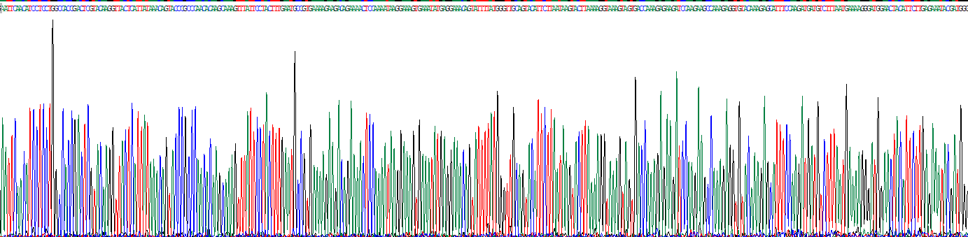 內(nèi)脂素(VF)重組蛋白
