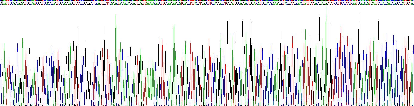 骨形成蛋白6(BMP6)重組蛋白