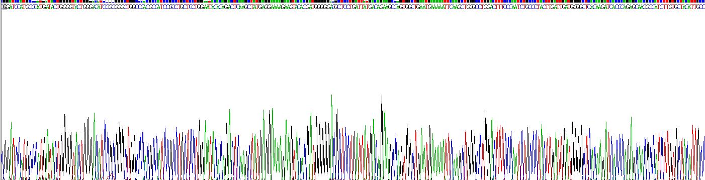 谷胱甘肽S转移酶μ1(GSTM1)重组蛋白