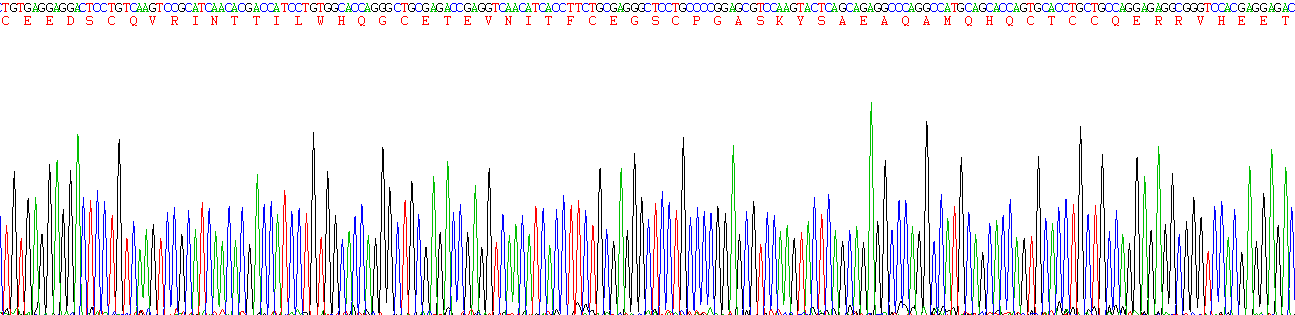 粘蛋白5B(MUC5B)重组蛋白