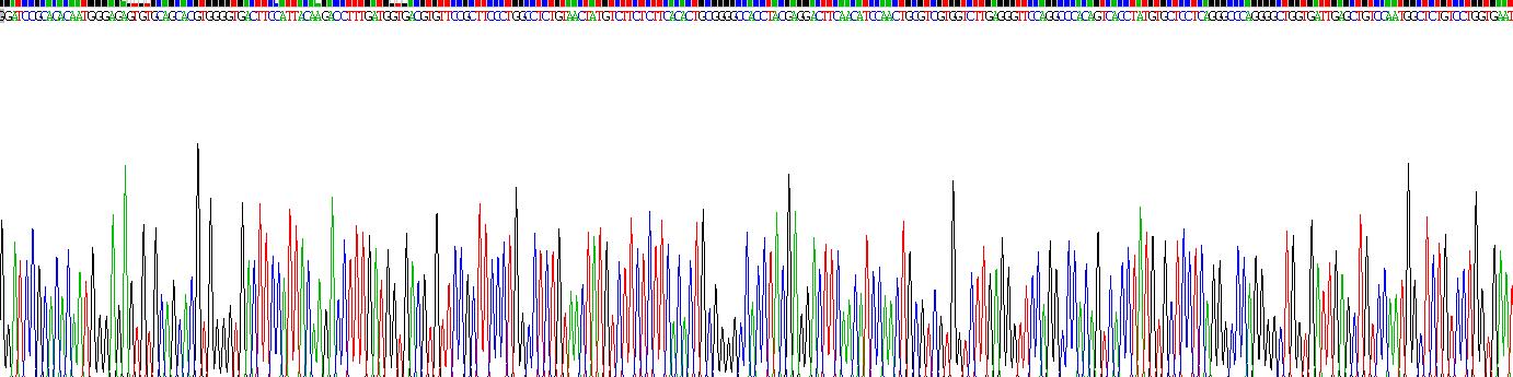 粘蛋白5B(MUC5B)重组蛋白
