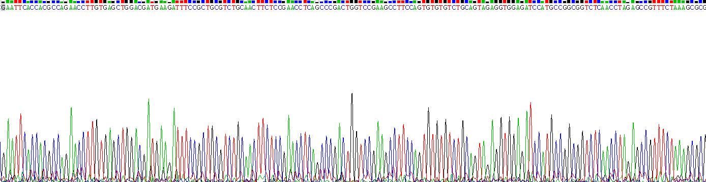 CD14分子(CD14)重组蛋白