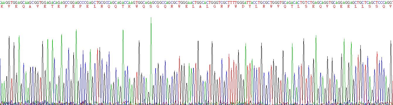 載脂蛋白E(APOE)重組蛋白