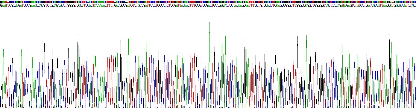 粘蛋白2(MUC2)重组蛋白