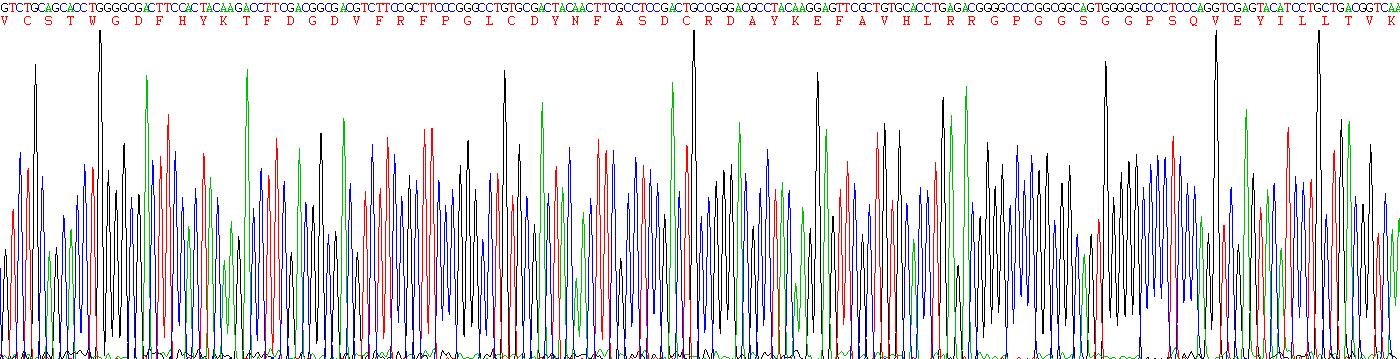 粘蛋白2(MUC2)重组蛋白