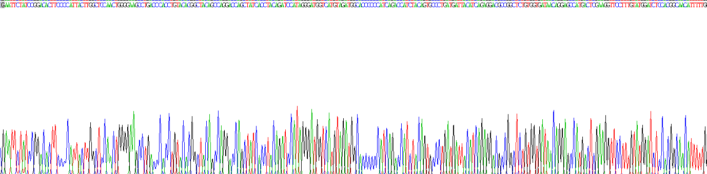 成纤维细胞生长因子23(FGF23)重组蛋白