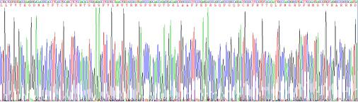 细胞程序性死亡蛋白1(PD1)重组蛋白