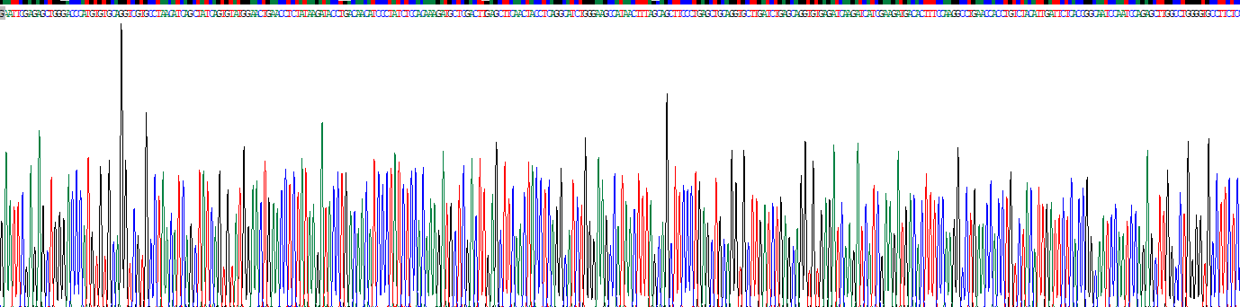 Toll样受体4(TLR4)重组蛋白