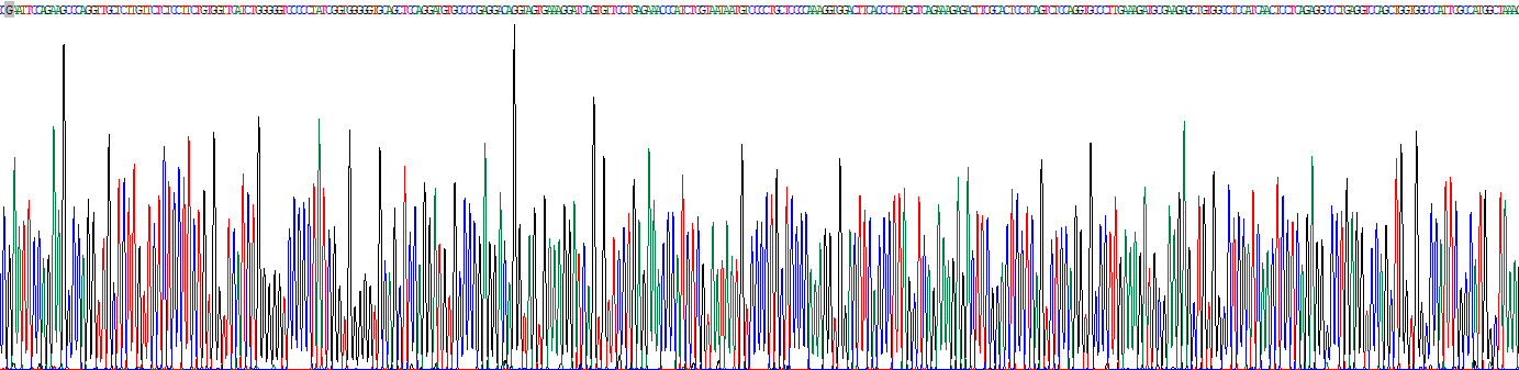 补体C3转化酶(C3 Convertase)重组蛋白