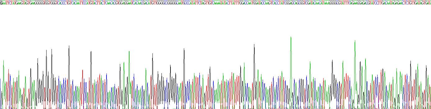 肾损伤分子1(Kim1)重组蛋白