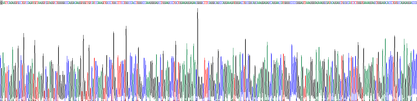 纤维胶凝蛋白1(FCN1)重组蛋白