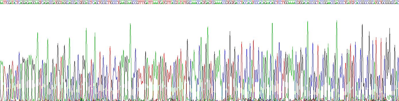 T-细胞可诱导共刺激分子配体(ICOSLG)重组蛋白