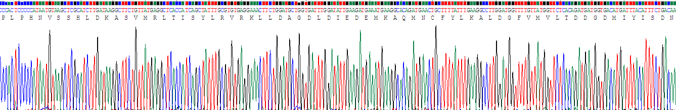 低氧誘導(dǎo)因子1α(HIF1a)重組蛋白