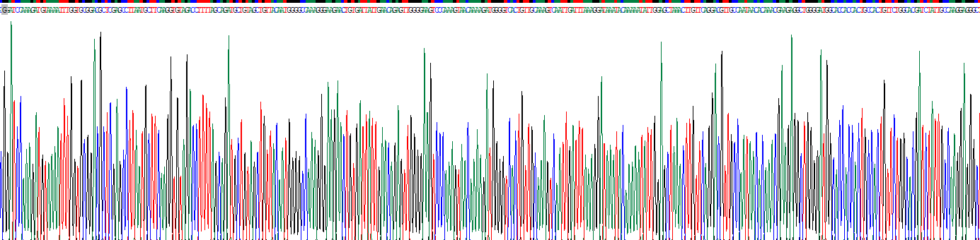 60kD热休克蛋白(Hsp60)重组蛋白