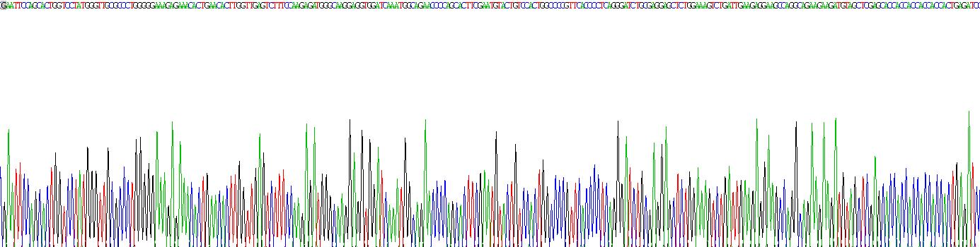 促性腺激素释放激素(GnRH)重组蛋白