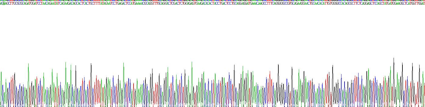 核因子κB受体激活因子配体(RANkL)重组蛋白