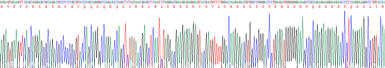 CD247分子(CD247)重組蛋白