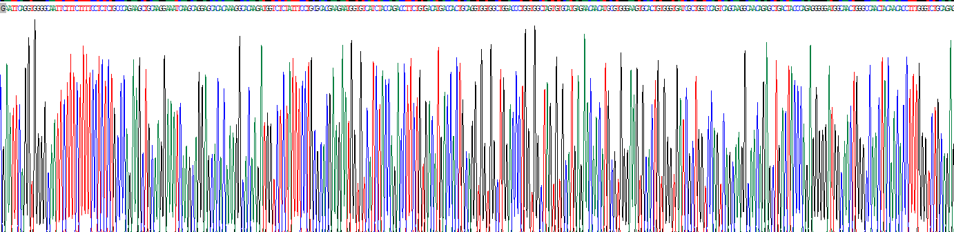 内凝集蛋白1(ITLN1)重组蛋白