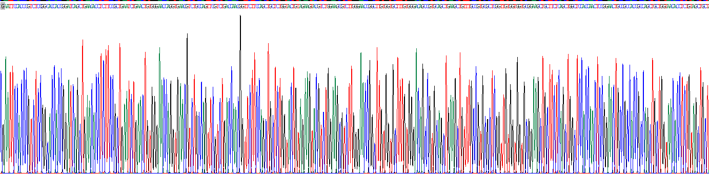 CD6分子(CD6)重组蛋白