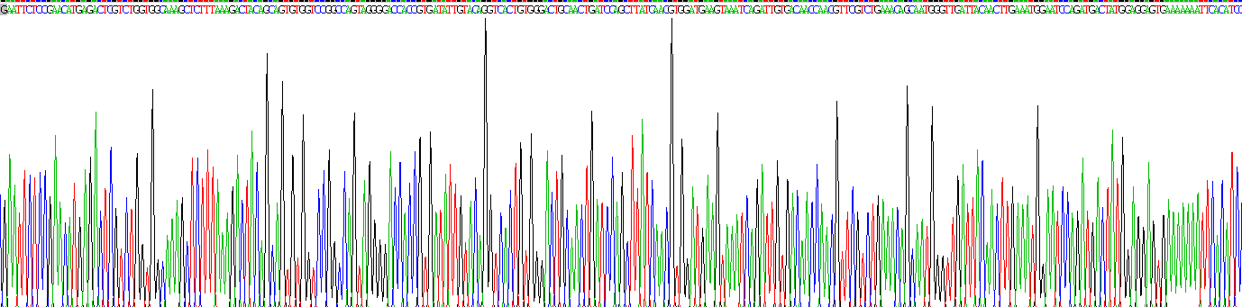 烟碱型胆碱受体α1(CHRNa1)重组蛋白