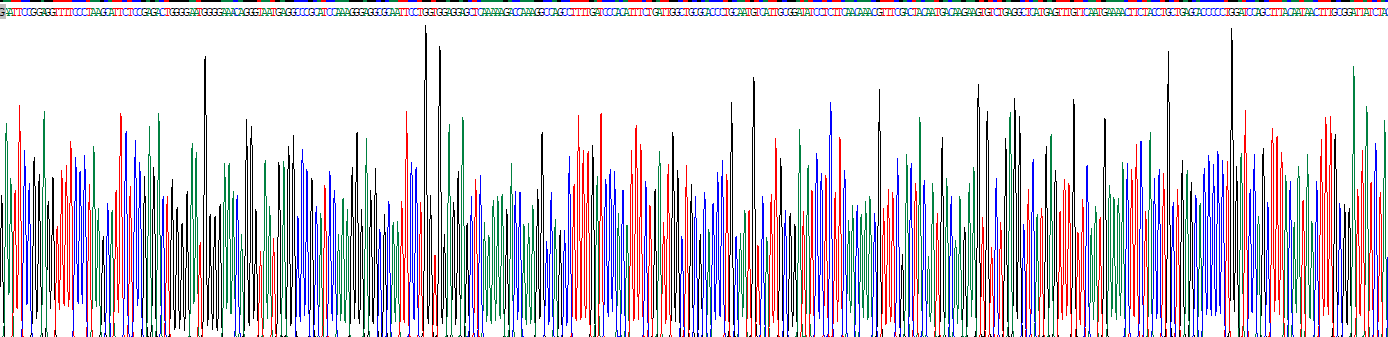 細(xì)胞色素P450家族成員2E1(CYP2E1)重組蛋白